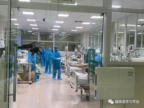 越南疫情最新 新增276例累計(jì)確診4112例，北寧省出現(xiàn)首例死亡病例